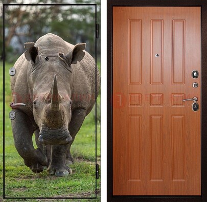 Металлическая дверь с фотопечатью носорога ДФ-31 в Тольятти